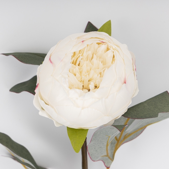 Искусственные пионы, кремовые, 65 см (9249-003) Искусственные пионы, кремовые, 65 см (9249-003)