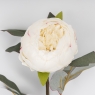 Искусственные пионы, кремовые, 65 см (9249-003)