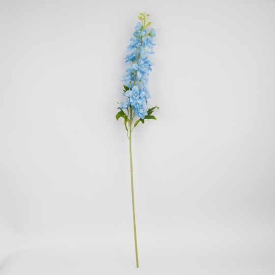 Дельфиниум 