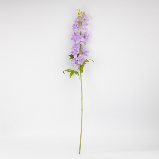 Дельфиниум 