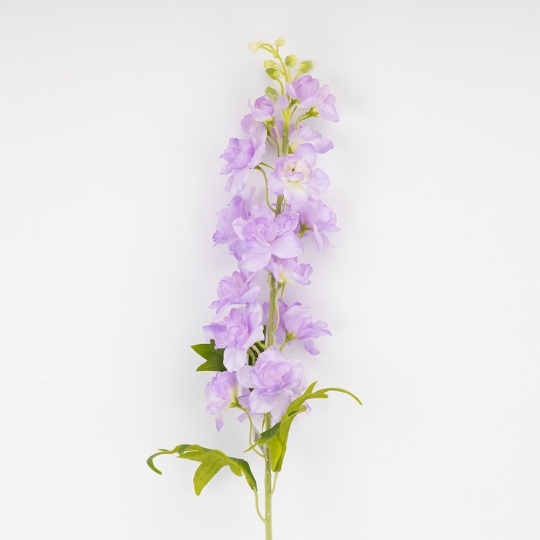 Дельфиниум 