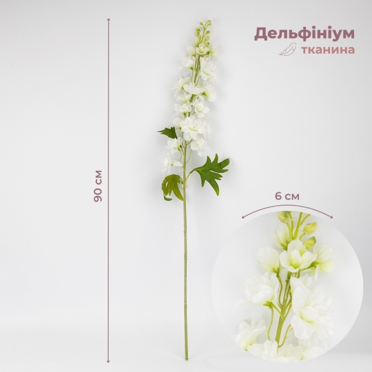 Дельфиниум Дельфиниум