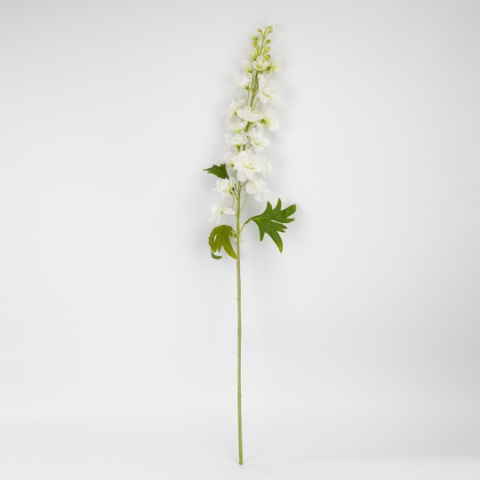 Дельфиниум Дельфиниум