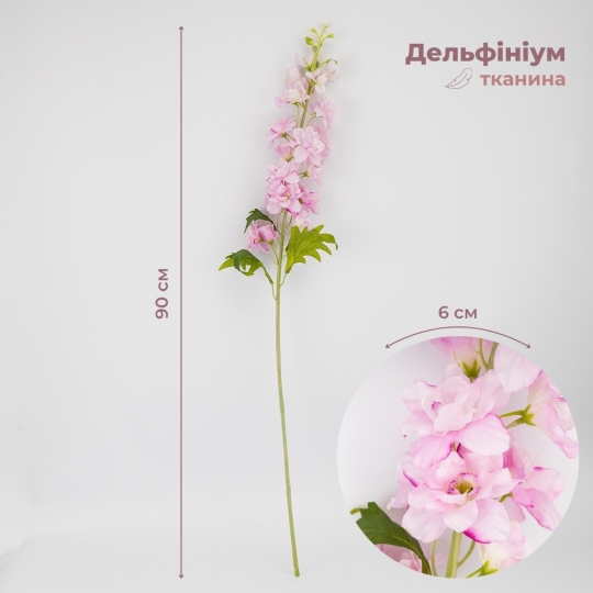 Дельфиниум Дельфиниум