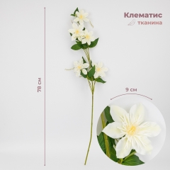 Клематис, белый, 78 см (9259-010)