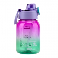 Пляшка для спорту "Gradient Splash", 650 мл * Рандомний вибір дизайну (9212-005)