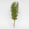 Декоративная латексная ветка 