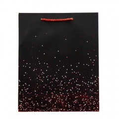 Подарунковий пакет "Яскраві миті", 26*32 см (9069-028)