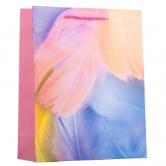 Подарунковий пакет "Кольорове пір