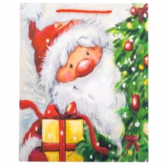 Подарунковий пакет "Санта Клаус", 31*42 см * Рандомний вибір дизайну (9166-003)