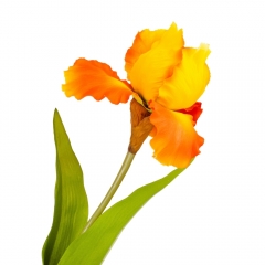 УЦІНКА Квітка штучна "Ірис", помаранчева, 78 см (Верхушка квітів) (2000-090/2)