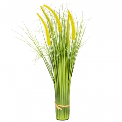 Декоративний очерет, жовтий (8931-025)