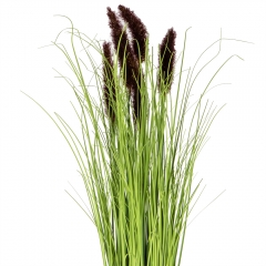 Декоративний очерет, коричневий (8931-027)