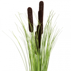 Декоративний очерет, коричневий (8931-028)