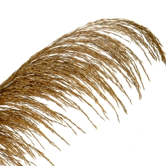Сухоцвіт Очерет. золотий (8430-049)