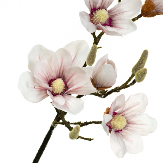 Гілка квітучої магнолії 90 см, пудровая (8721-014)