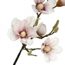 Гілка квітучої магнолії 90 см, пудровая (8721-014)