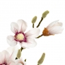 Гілка квітучої магнолії 90 см, пудровая (8721-014)