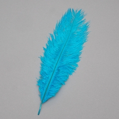 Страусине перо 25-30 см блакитний (8501-002/light-blue)
