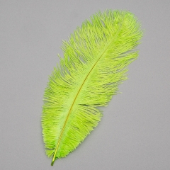 Страусине перо 25-30 см салатовий (8501-002/light-green)