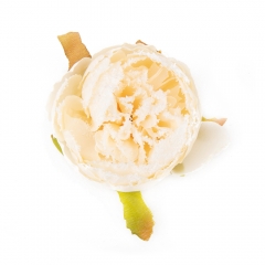 Набір декоративних квітів "Бутон півонії" персиковий (6018-036)