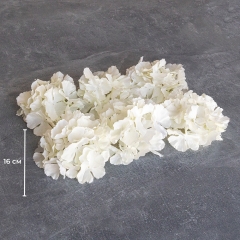 Головка гортензії, біла, 16 см (9222-001)