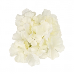 Головка гортензії, біла, 16 см (9222-001)