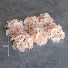 Головка гортензії, кремова, 16 см (9222-002)