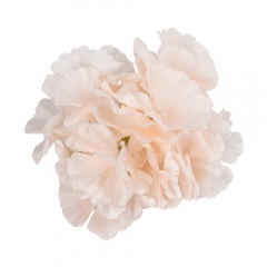 Головка гортензії, кремова, 16 см (9222-002)