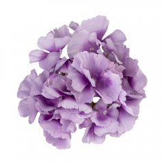 Головка гортензії, бузкова, 16 см (9222-004)