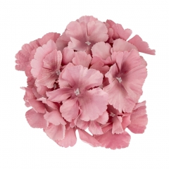 Головка гортензії, лілова, 16 см (9222-005)