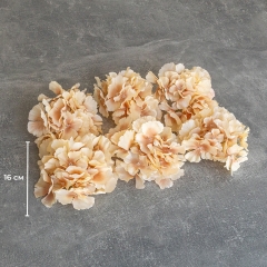 Головка гортензії, бежева, 16 см (9222-006)