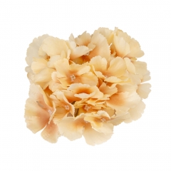 Головка гортензії, бежева, 16 см (9222-006)