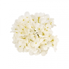 Головка гортензії дрібноквіткової, біла, 14 см (9222-008)
