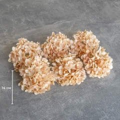 Головка гортензії дрібноквіткової, бежева, 14 см (9222-013)