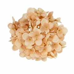 Головка гортензії дрібноквіткової, бежева, 14 см (9222-013)