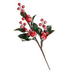Гілка «Вічнозелена рослина з ягодами» (027NM)