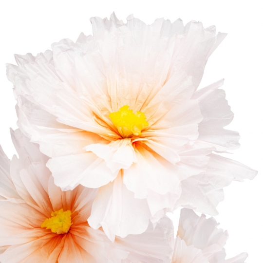 Большие ростовые декоративные цветы на стойке, бело-оранжевые, 165 см (2030-006)