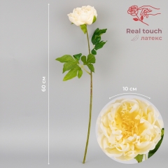 Штучна півонія з ефектом живого дотику, кремова, 60 см (2025-007)