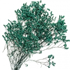 Кермек Синій, стабілізований (8213-055)