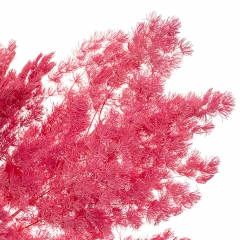 Роголисник Малиновий, стабілізований (8213-061)