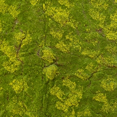 Декоративна панель зі штучного моху, 100*100 см (9224-014)