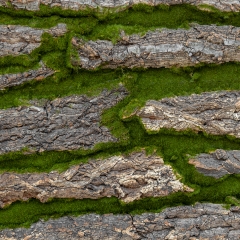 Декоративна панель зі штучного моху та кори, 100*50 см (9224-016)