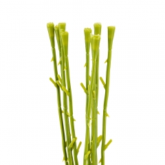 Флористина основа "Стебло", 45 см (19232-001)