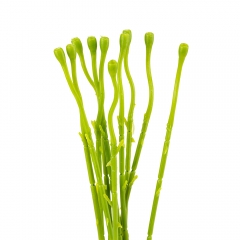 Флористина основа "Стебло", 45 см (19232-002)