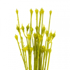 Флористина основа "Стебло", 62 см (19232-003)