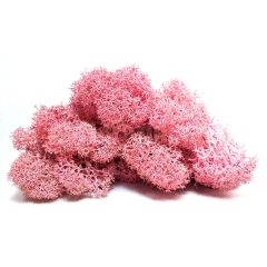 Мох стабилизированный розовый (530 гр.) (8607-004)