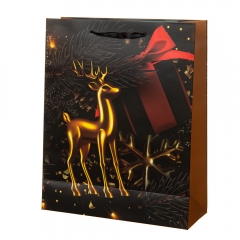 Подарунковий пакет "Celebration" 26 * 10 * 32 (8817-004)