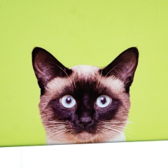 Набір коробок «Котячий дім» (8427-006)