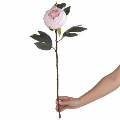 Півонія рожева, 66 см (8950-004)